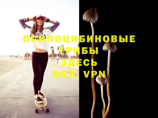 тгк Ельня