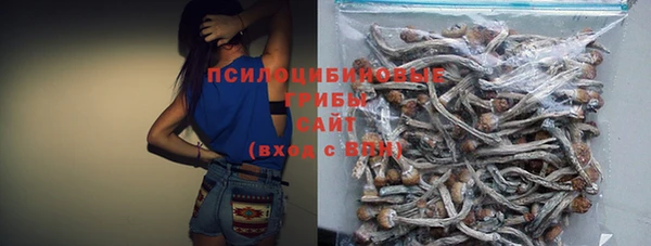 ALPHA PVP Елизово
