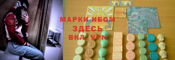 тгк Ельня