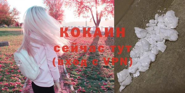 ALPHA PVP Елизово