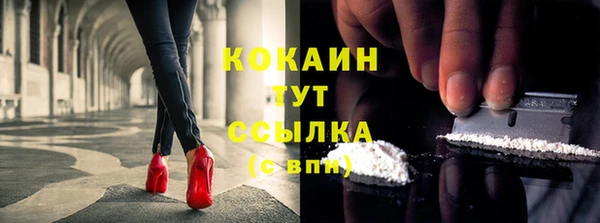 тгк Ельня