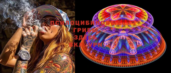 прущие крисы Елабуга