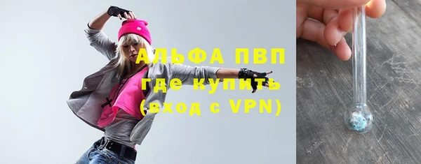 тгк Ельня