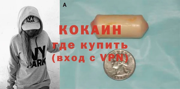 ALPHA PVP Елизово
