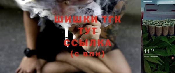 прущие крисы Елабуга