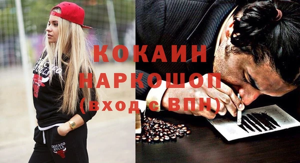 тгк Ельня