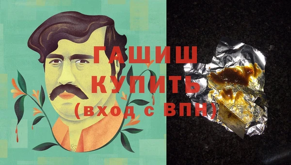 тгк Ельня