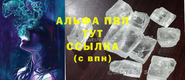 тгк Ельня
