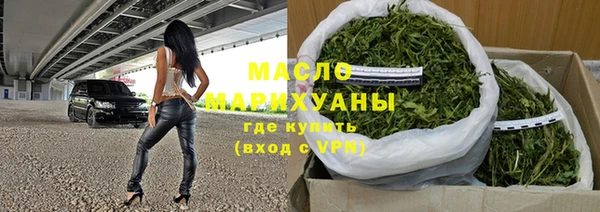 тгк Ельня