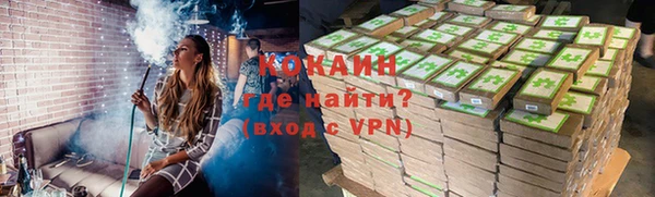 тгк Ельня